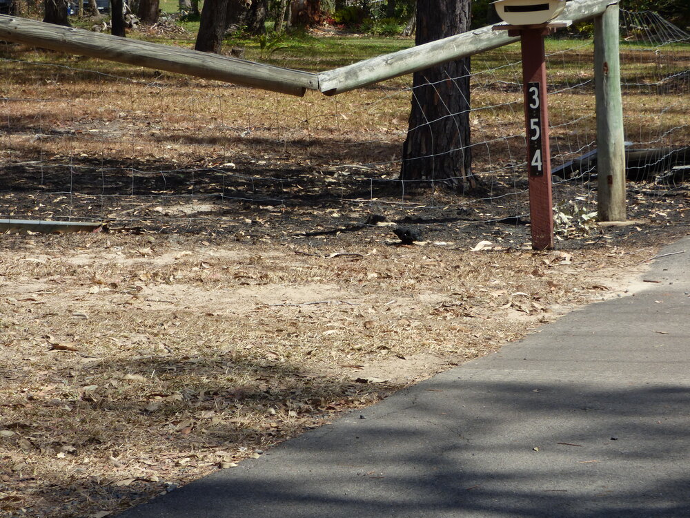 Bushfire aftermath, Lake Cooroibah Road, Cooroibah, 14 November 2019