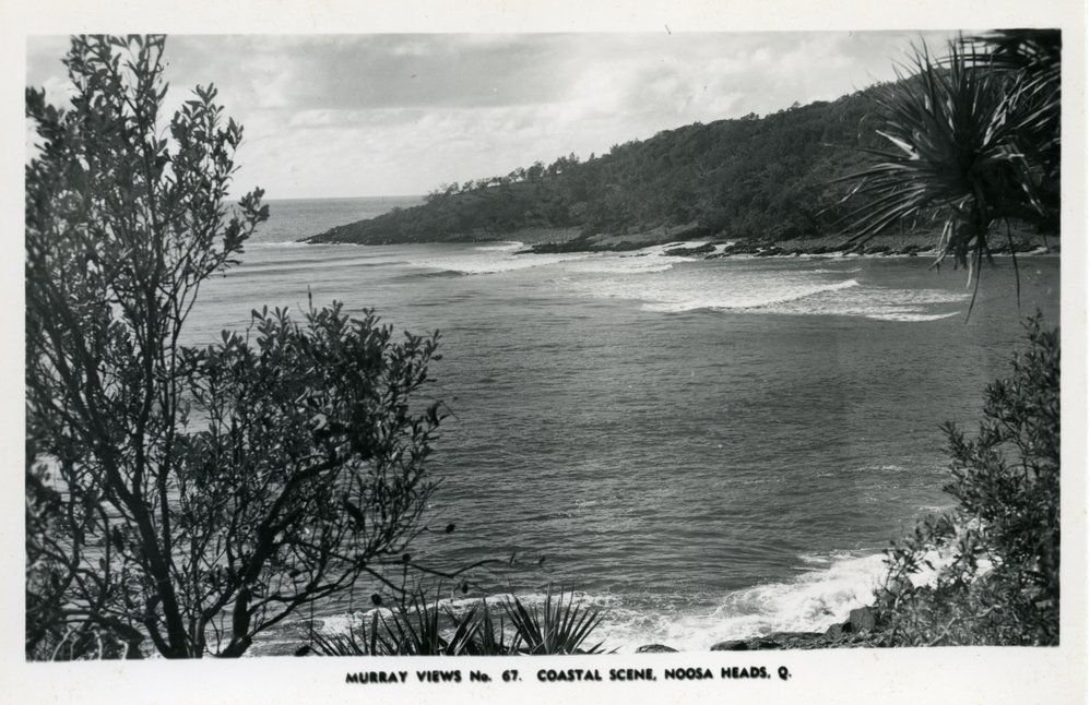 Shoreline, Noosa National Park, Noosa Heads
