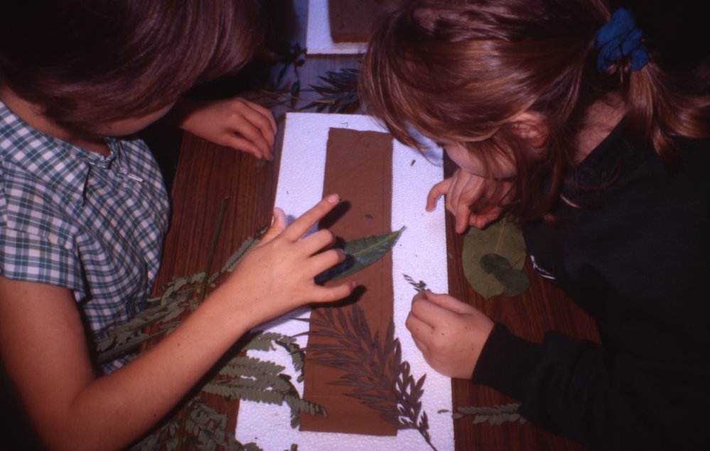 Patterns in clay, Cooroy Streetscape, Cooroy, 1996