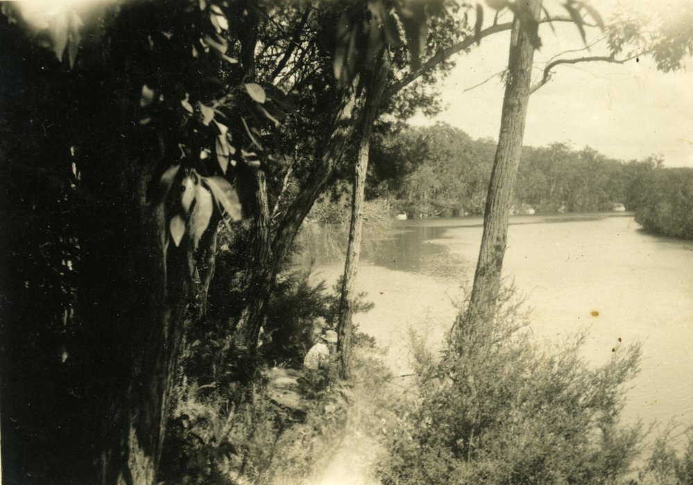 Weyba Creek, Noosaville