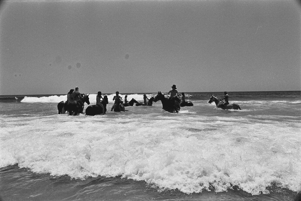 Pony club riding in surf, June 1977