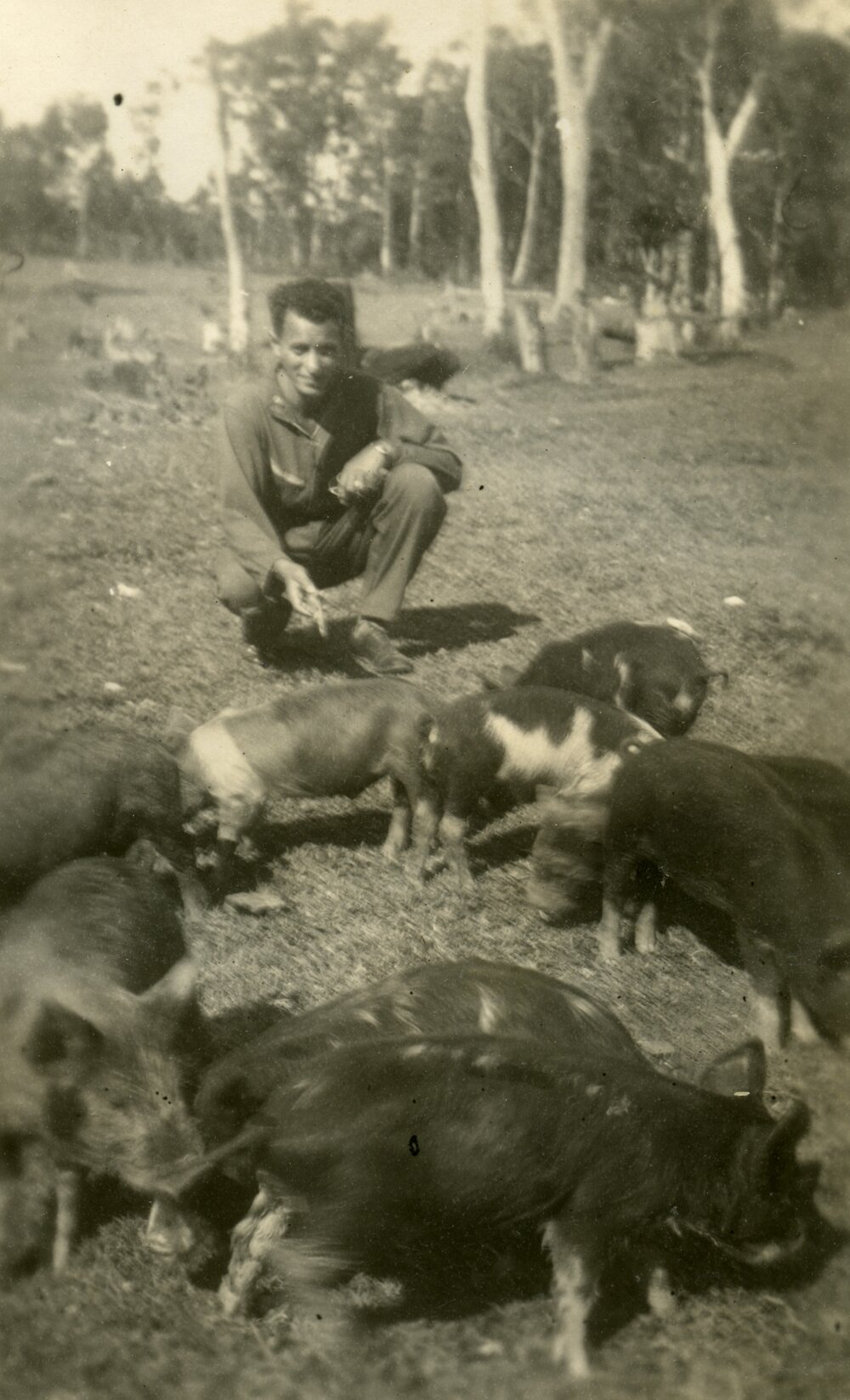 Joe Battaglia, Tewantin, 1943