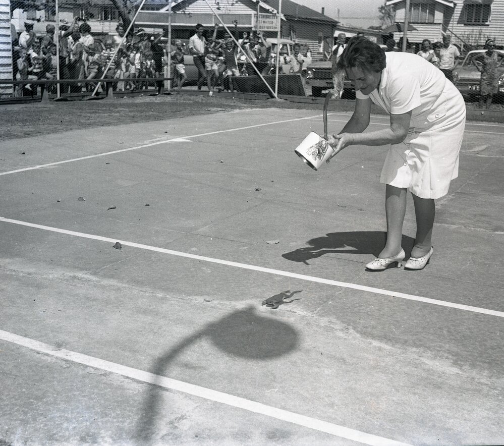 Entrant, Cane Toad Derby, Noosaville, 1967