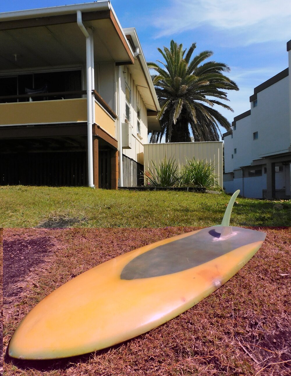 Hayden spoon, October 2021