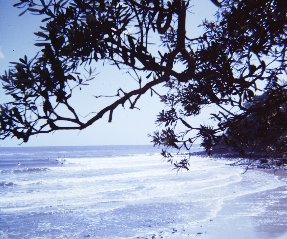 Boardriders, Noosa National Park, Noosa Heads