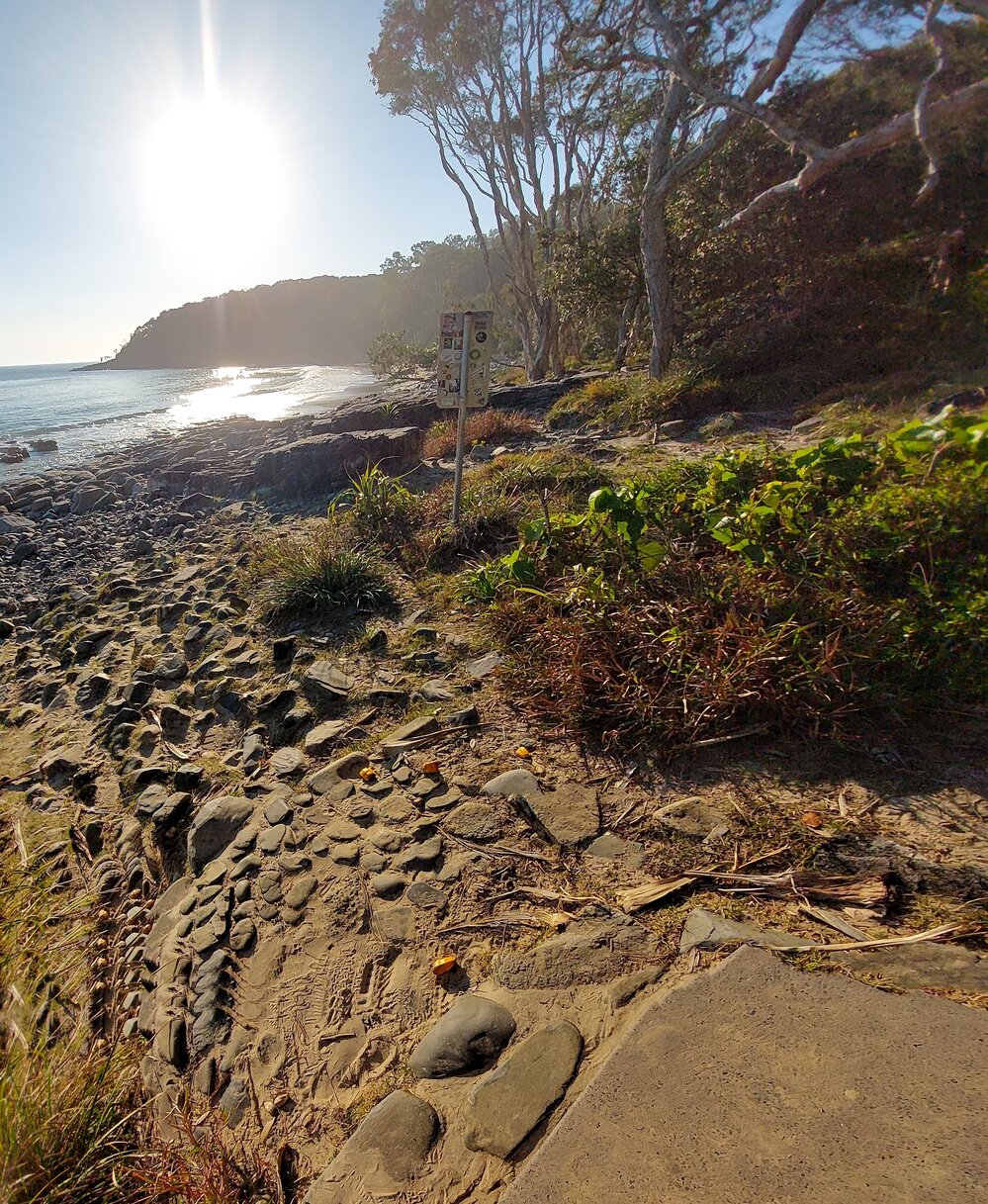 Tea Tree Bay, Coastal Walk, Noosa National Park, Noosa Heads, 1 August 2023