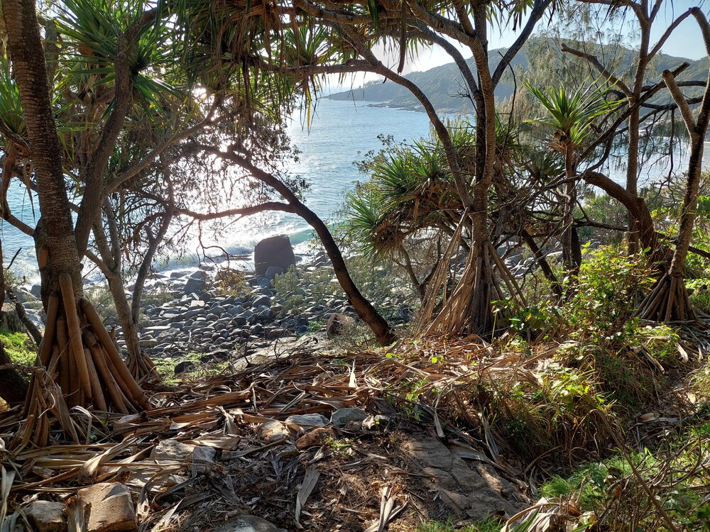 Winch Cove, Coastal Walk, Noosa National Park, Noosa Heads, 1 August 2023