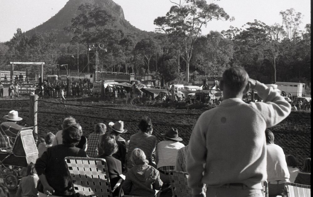 Bull rider, Pomona Rodeo, Pomona Showgrounds, Exhibition Street, Pomona, 26 June 1977