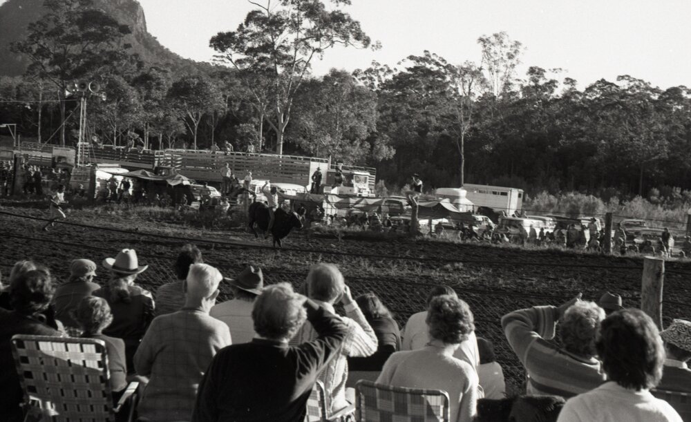 Bull rider, Pomona Rodeo, Pomona Showgrounds, Exhibition Street, Pomona, 26 June 1977