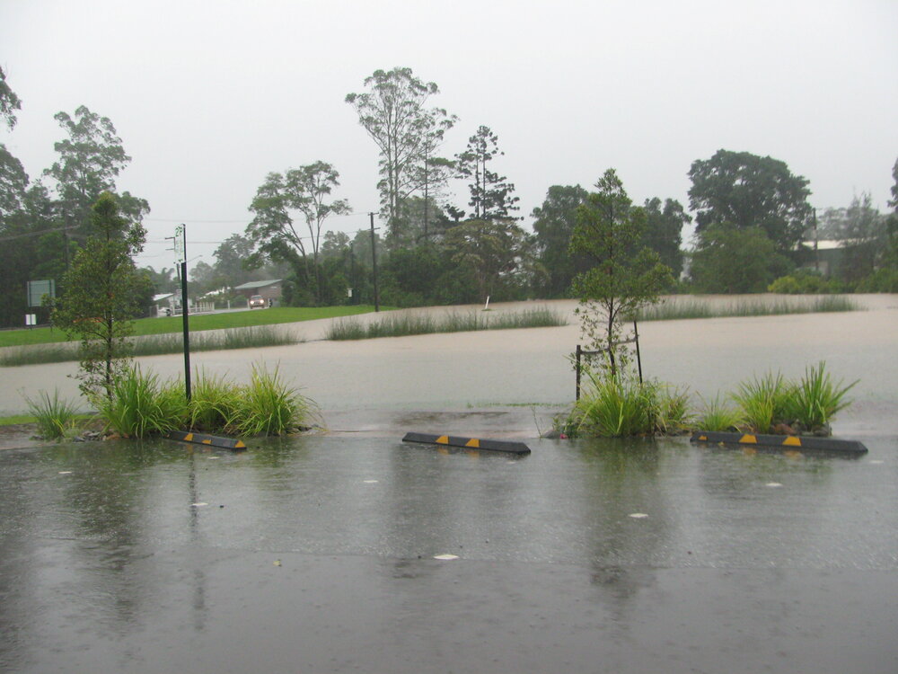 Flooding, carpark, Cooroy Library, Cooroy, 9 January 2011