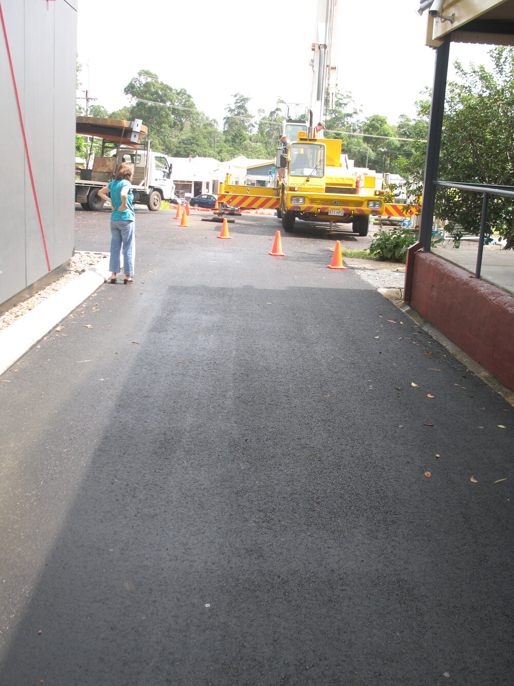 Delivery, 'Bunya' Sculpture, Mill Place Community Precinct, Maple Street, Cooroy, 21 April 2010