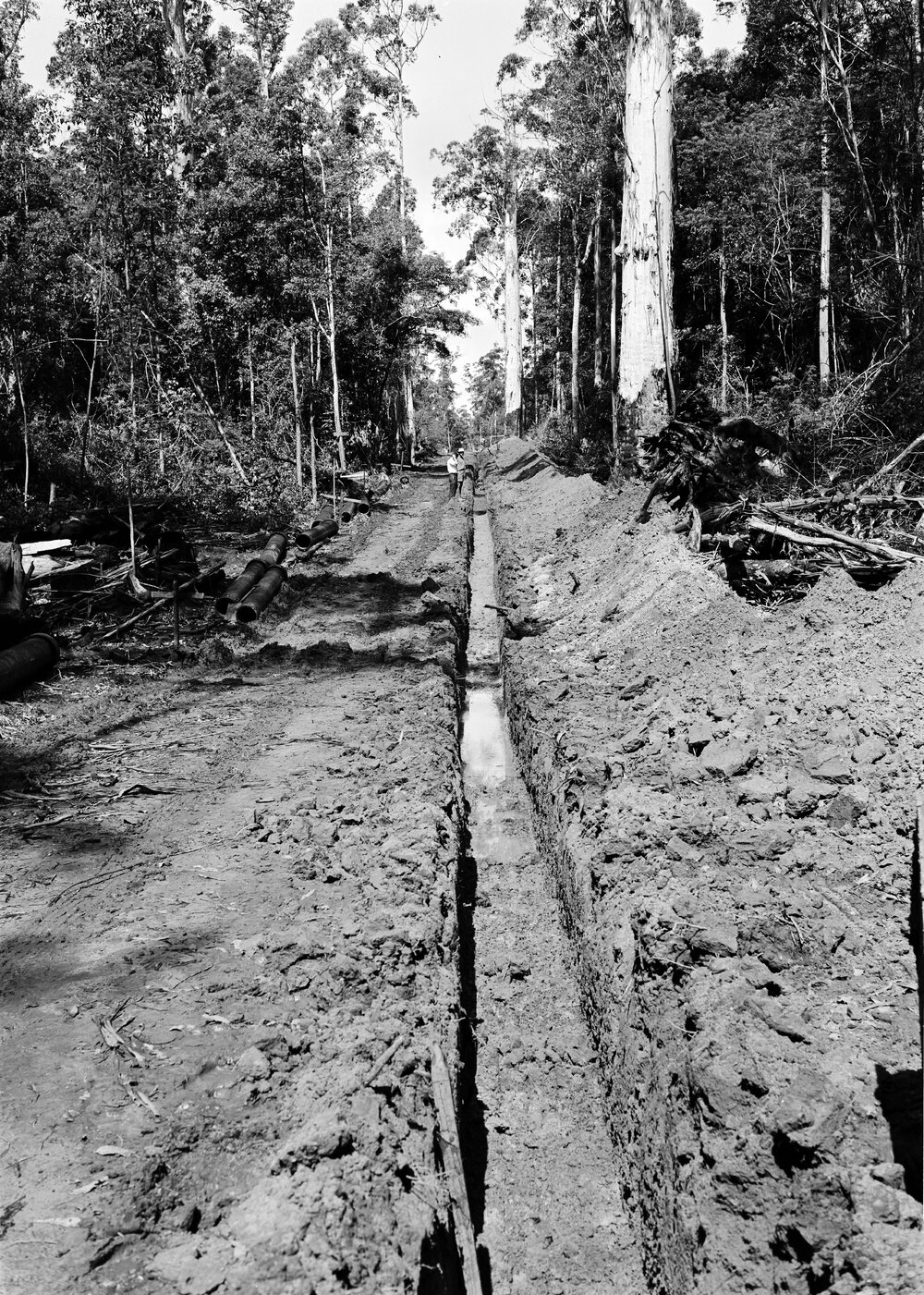  Pipeline construction, Six Mile Creek Dam, Lake Macdonald, between 1965-1967