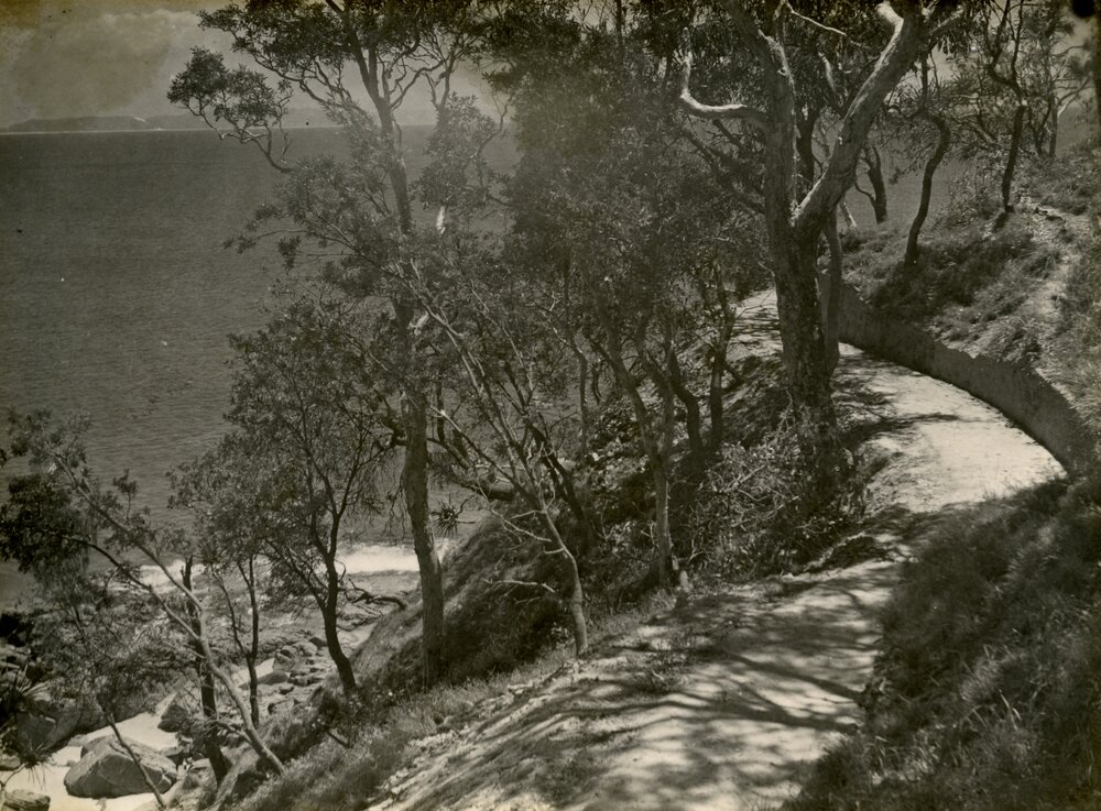 Coastal walking track, Noosa National Park, Noosa Heads