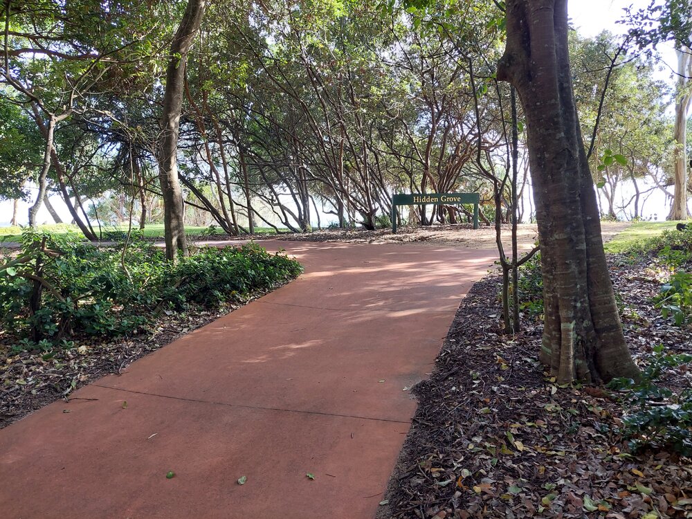 Hidden Grove, Noosa Main Beach, Noosa Heads, 17 March 2025