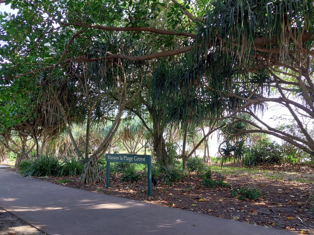 Maison la Plage Grove, Noosa Main Beach boardwalk, Noosa Heads, 17 March 2025