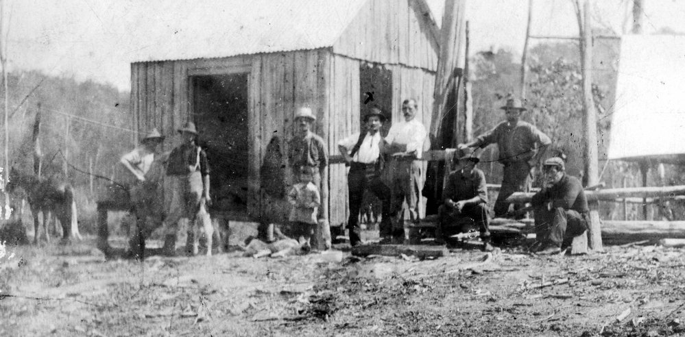 Fenwick Bros. and Morrish Sawmill site, Cooroy, 1909 