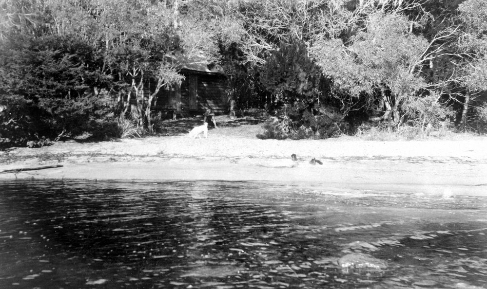 George and Juliet Larard's timber hut, Lake Cootharaba, Boreen Point, 1925 
