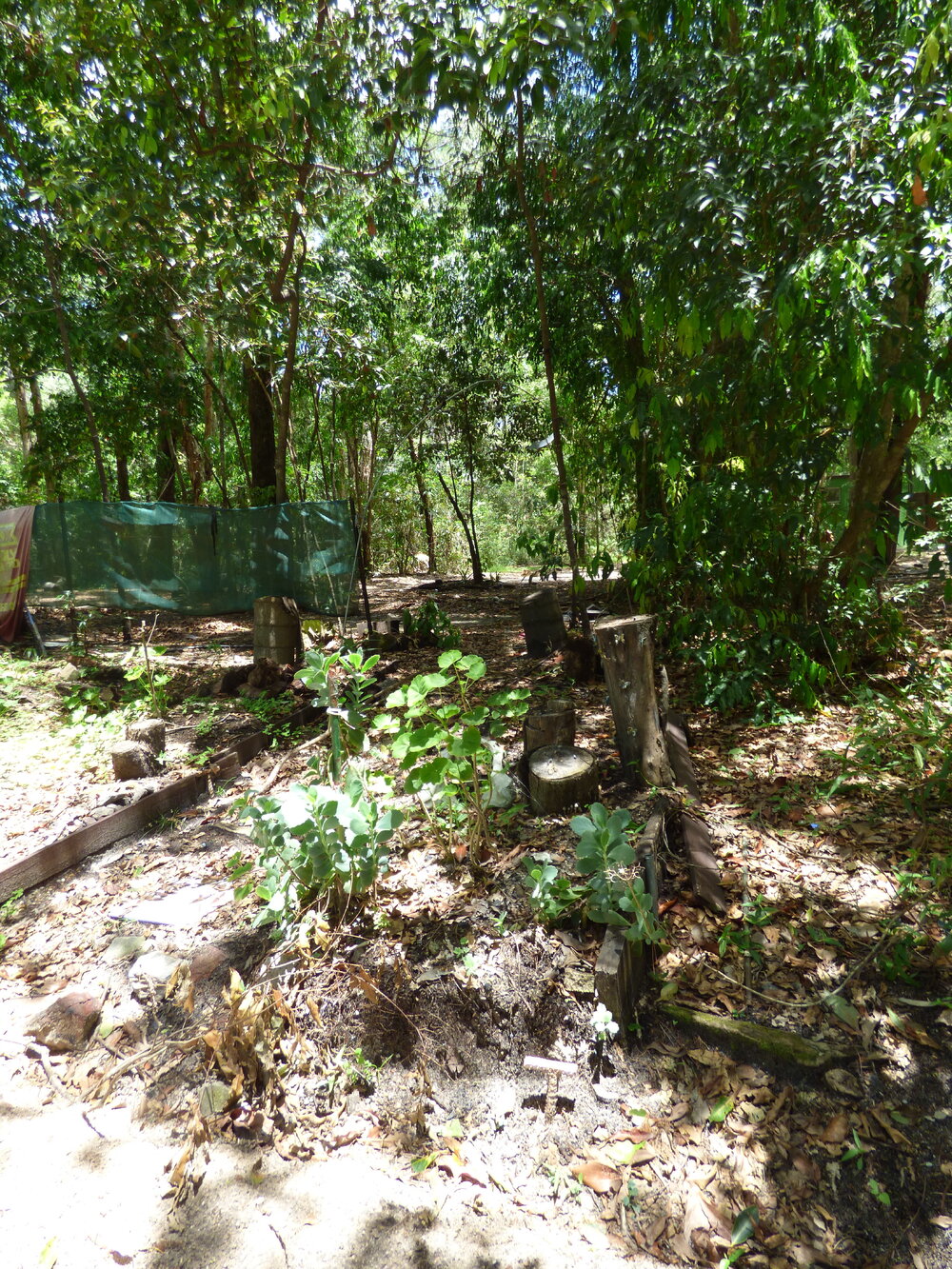 Garden beds, Johns Landing Campground, 118 Johns Road, Cooroibah, 22 November 2017
