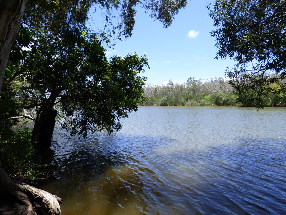 River side, Johns Landing Campground, 118 Johns Road, Cooroibah, 22 November 2017
