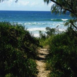 Beach track, Teewah Beach, Noosa North Shore