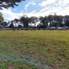 Equestrian competitors, Noosa Country Show, Pomona, 10 September 2022