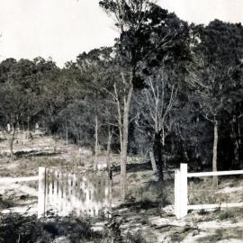 Entrance to Colonel Lintott's family home,  Viewland Drive, Noosa Heads