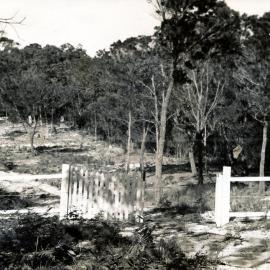 Entrance to Colonel Lintott's family home,  Viewland Drive, Noosa Heads