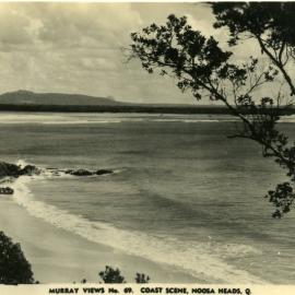 Coast scene, Noosa Heads