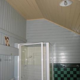 Bathroom, Tait Duke Cottage, 84 Poinciana Avenue, Tewantin, 17 April 2009