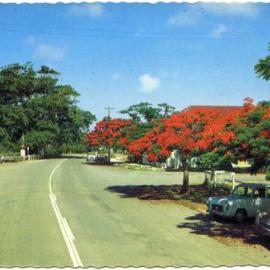 Poinciana Avenue, Tewantin, ca 1970s