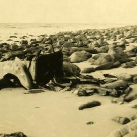 Car wreck, Little Cove, Noosa Heads, 1968