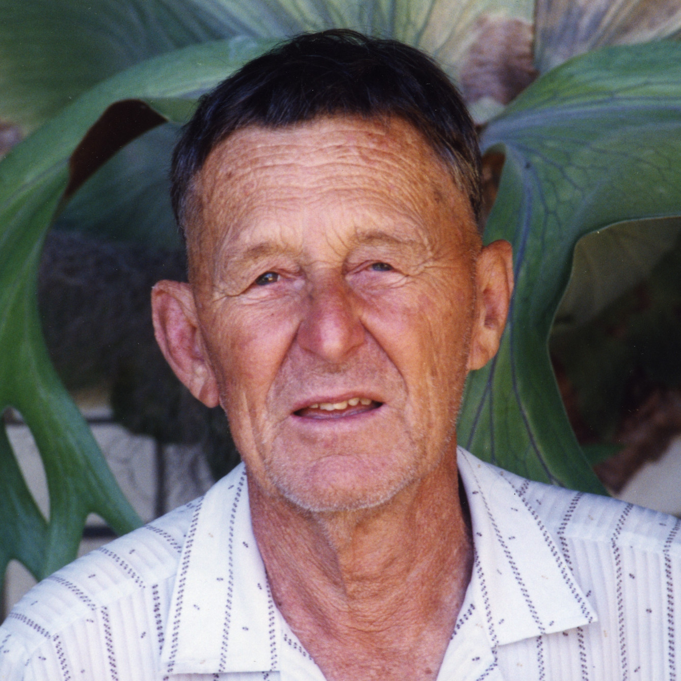 Colin Monks