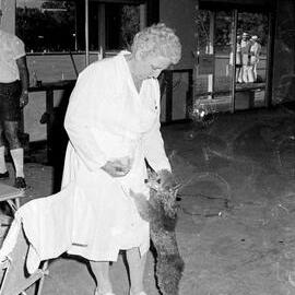 Bowler, Greens Christening day celebrations, Noosa Heads Bowls Club, Lanyana Way, Noosa Heads, 26 December 1969