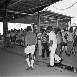 Builders Day, Cooroy Brickworks, Cooroy, 1970s