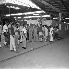 Builders Day, Cooroy Brickworks, Cooroy, 1970s