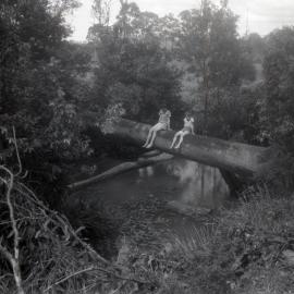 Denis Jones and Mick Jones, Six Mile Creek, Pomona, ca 1950s