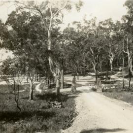 Entrance, Noosa National Park, Noosa Heads, ca 1950s