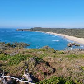 Alexandria Bay, Coastal Walk, Noosa National Park, Noosa Heads, 1 August 2023