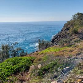 Coastal Walk, Noosa National Park, Noosa Heads, 1 August 2023