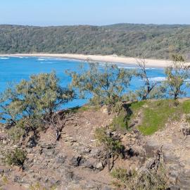 Alexandria Bay, Coastal Walk, Noosa National Park, Noosa Heads, 1 August 2023