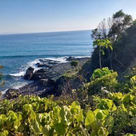 Coastal Walk, Noosa National Park, Noosa Heads, 1 August 2023