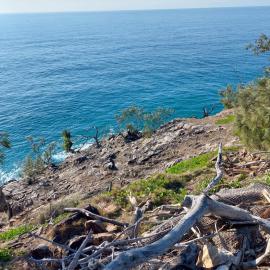 Coastal Walk, Noosa National Park, Noosa Heads, 1 August 2023