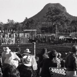 Event, Pomona Rodeo, Pomona Showgrounds, Exhibition Street, Pomona, 26 June 1977