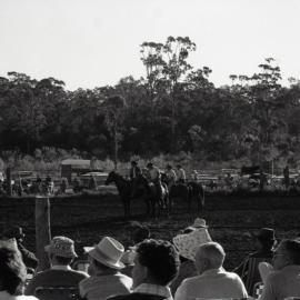 Cowboys, Pomona Rodeo, Pomona Showgrounds, Exhibition Street, Pomona, 26 June 1977