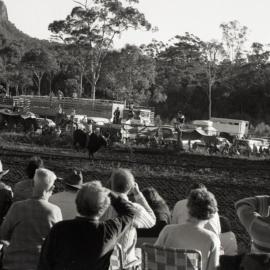 Bull rider, Pomona Rodeo, Pomona Showgrounds, Exhibition Street, Pomona, 26 June 1977