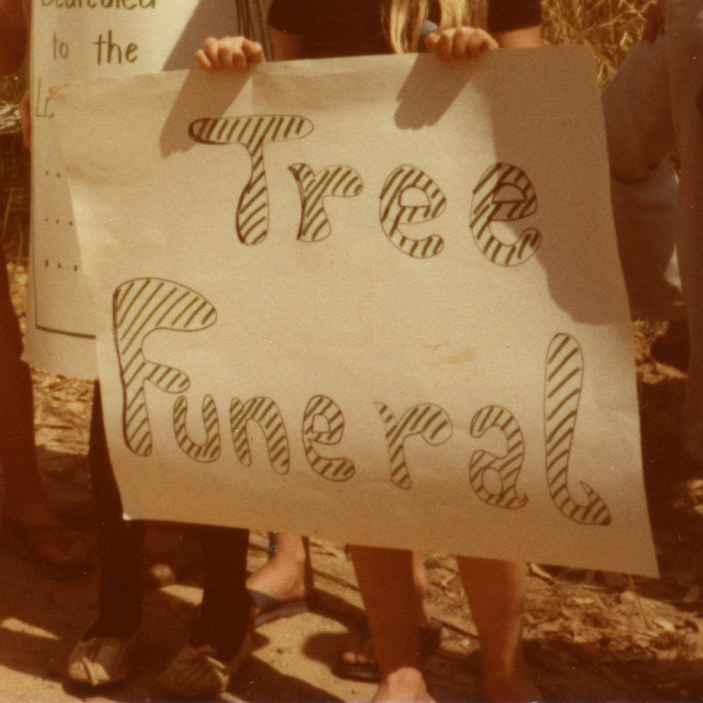 Funeral for the Trees