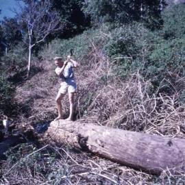 Clearing the land, Harry Spring