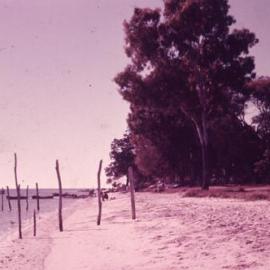Boats at rest, Noosa River, Tewantin