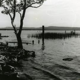 Elanda Point Wharf piles, Como, 1980s