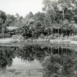 Noosa Botanic Gardens, Lake Macdonald, 1990s